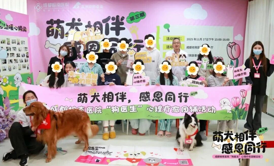 【萌犬相伴，感恩同行】：成都棕南医院“狗医生”心理疗愈团辅活动!(第三期)_成都棕南医院_成都精神病医院